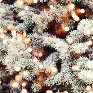 Trying to sell things ASAP!